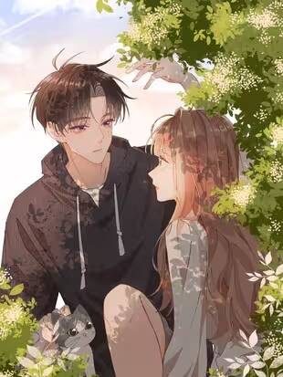 Truyện tranh Chị Gái Lại Toang Nữa Rồi