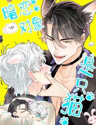 Truyện tranh Crush Của Tôi Là Mèo