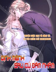 Truyện tranh Định Mệnh Sau Cú Đấm Nhầm