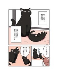 Truyện tranh Kuroneko No Ohanashi