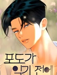 Truyện tranh Trước Khi Mùa Nho Chín